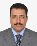Wael Nabil Hozzein